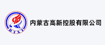 高新控股